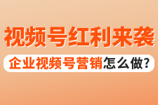 飞橙周四播：企业视频号营销怎么做？